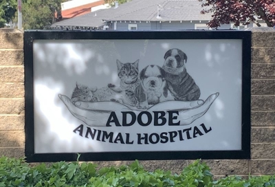 Adobe Animal Hospital Building Signs Photo